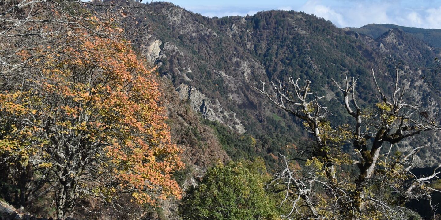 L’Aspromonte interiore e la Grande Madre