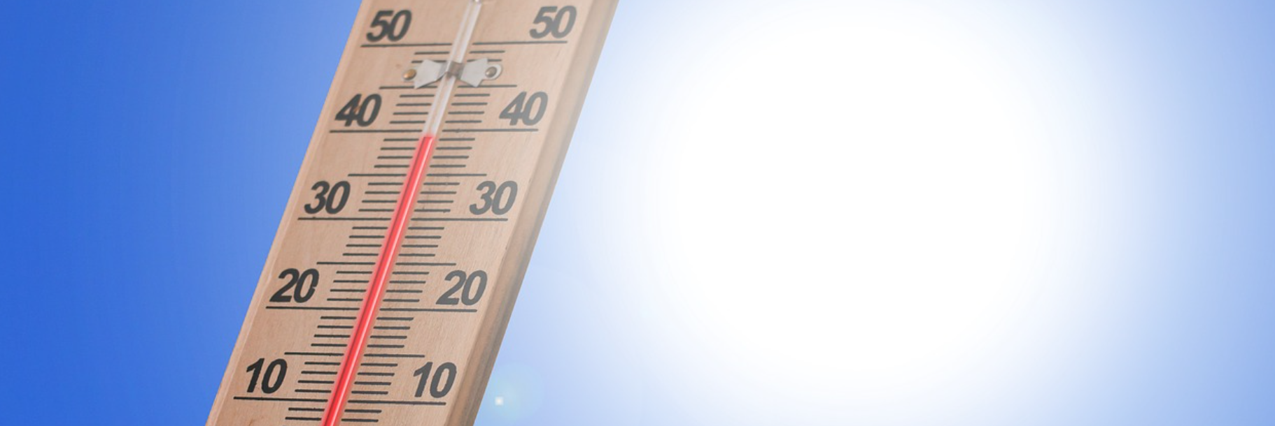 Clima, nel 2024 «anomalie termiche intense» in Calabria. I dati