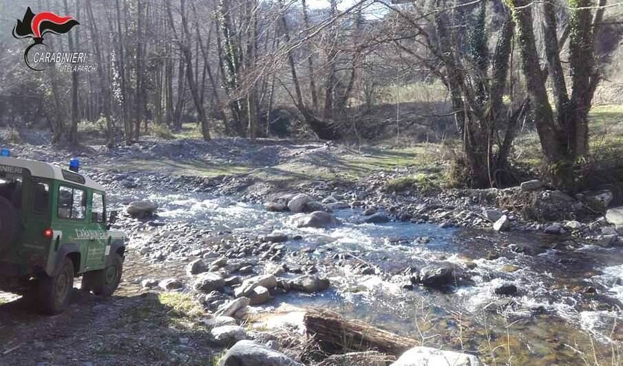 Disperso nel Parco d'Aspromonte: ritrovato dai Carabinieri