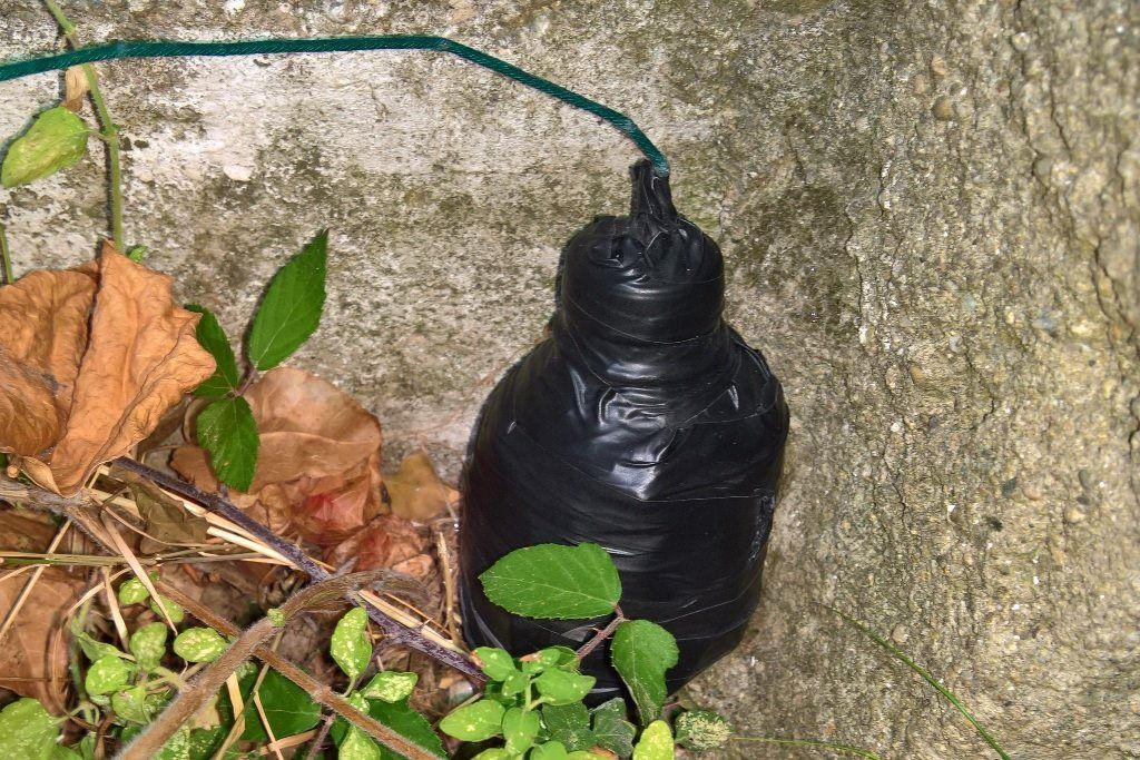 Tentavano di posizionare un ordigno, arrestati due minori a Lamezia