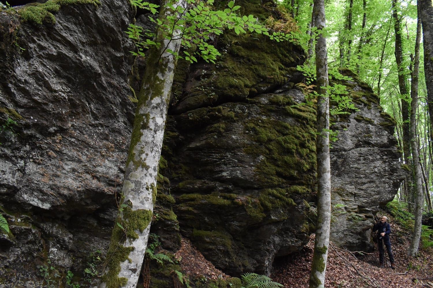 Il “Festival delle Erranze e della Filoxenia” farà tappa sulla montagna di Lamezia – FOTO