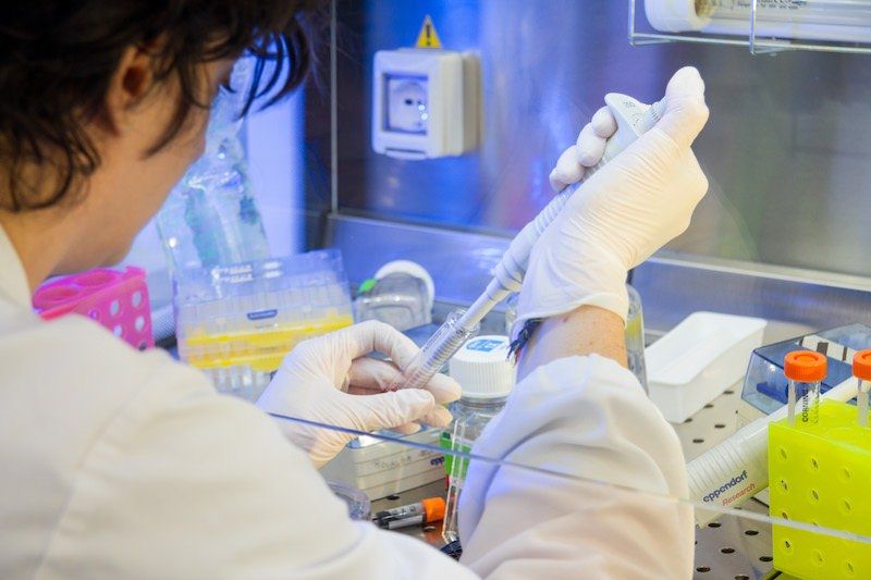 Scoperta all'Unical una molecola contro l'Aids