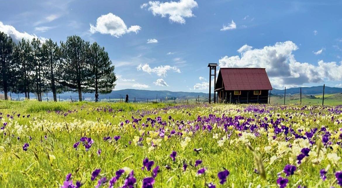 Vacanze a Camigliatello Silano, una fantastica ricarica naturale