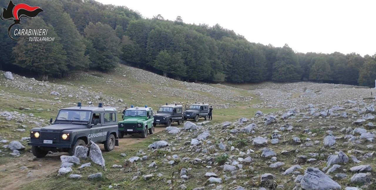 Accedevano fuochi all’interno del Parco del Pollino, sanzionati