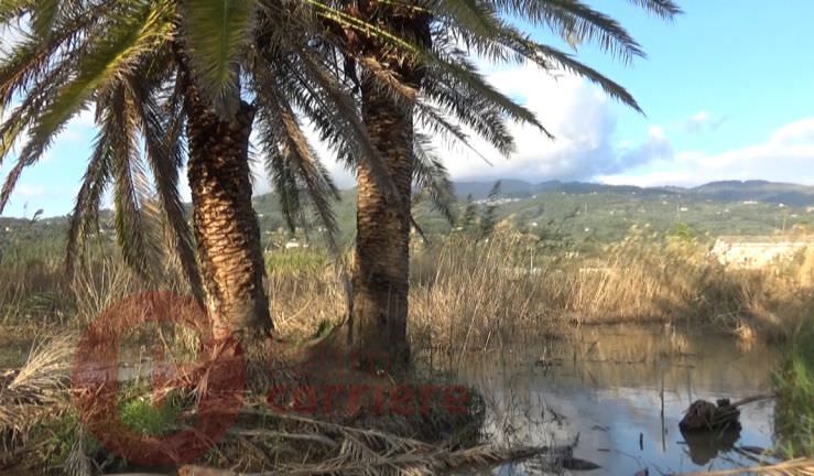 Fondi, progetti e degrado. L’occasione mancata dei laghi “La Vota” – VIDEO
