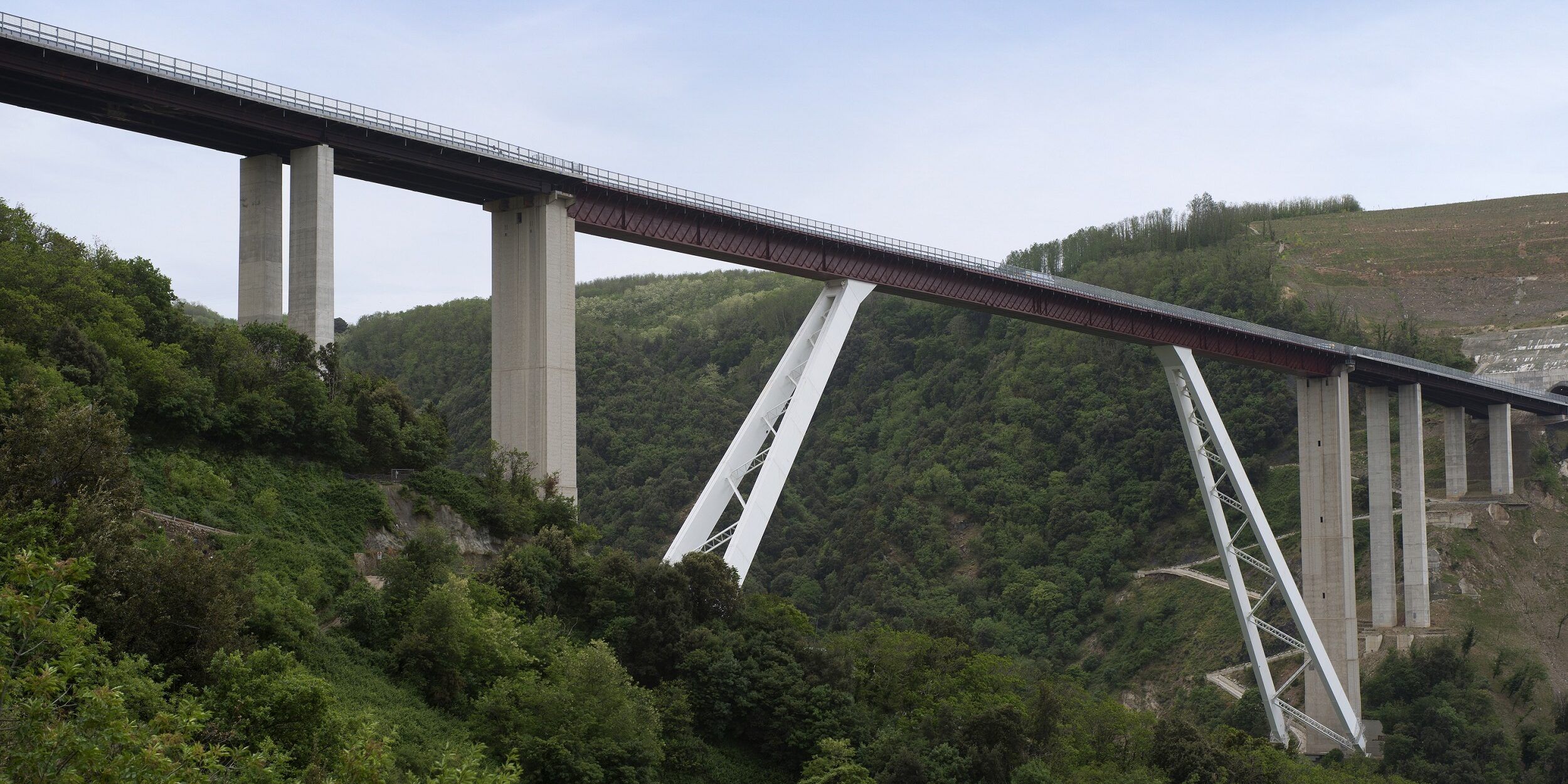 Anas, al via bandi per 1,7 miliardi di euro. Interventi anche in Calabria