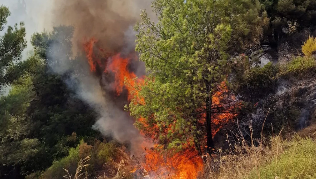 Incendio di vaste proporzioni nell’Alto Jonio cosentino. Salvata un’anziana intrappolata in casa