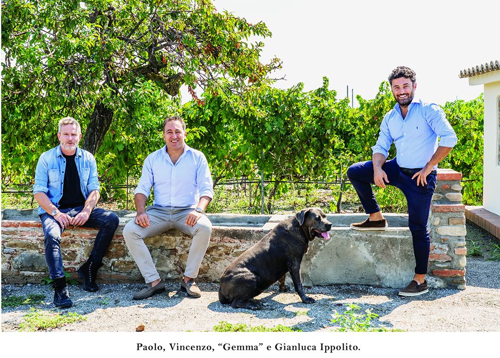 Verticale di “Ripe del Falco”, a Rende la degustazione di cinque annate storiche