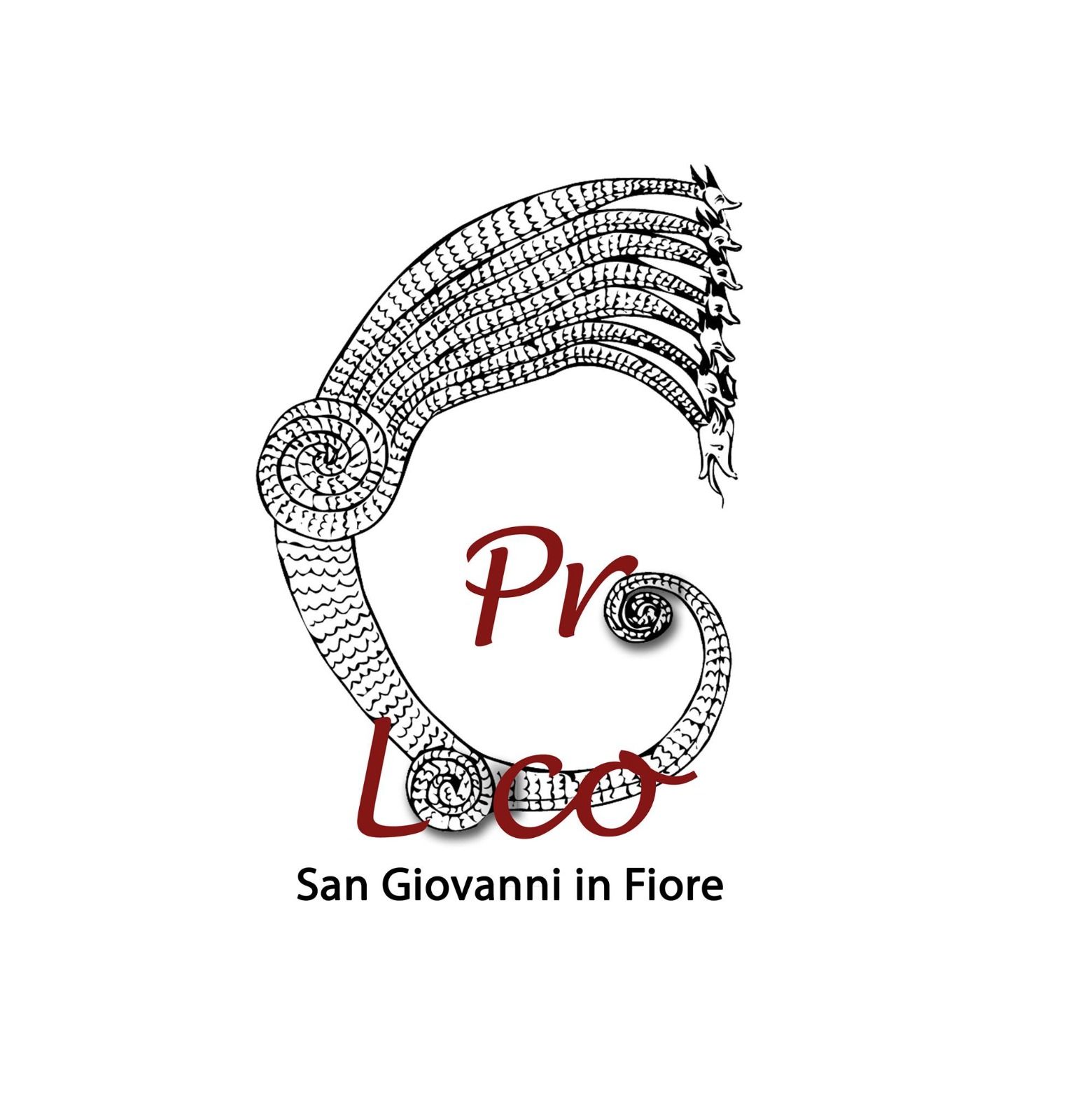 L’Amministrazione comunale “sfratta” la Pro Loco di San Giovanni in Fiore