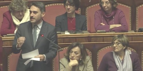 nicola irto senato
