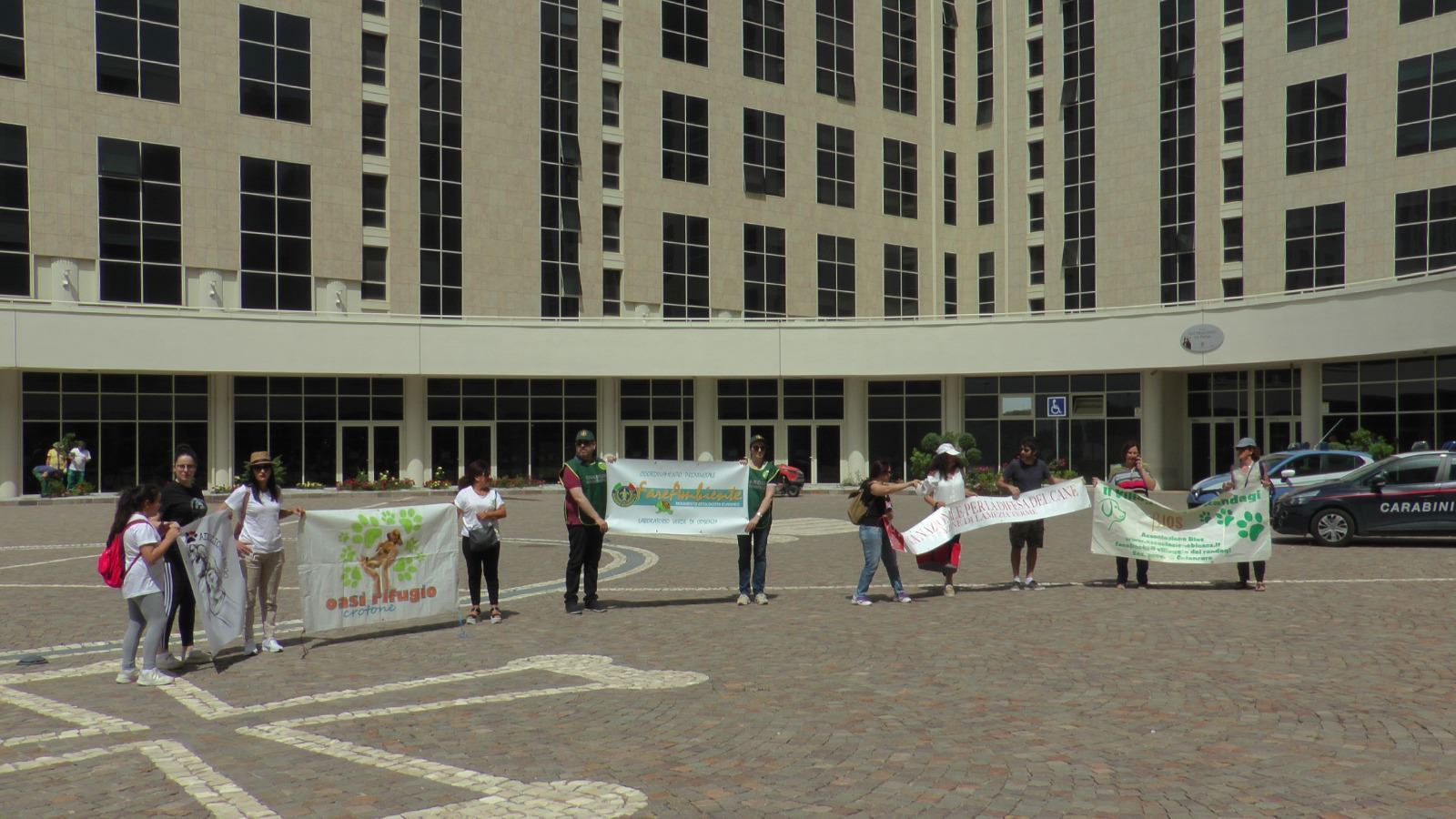 "Onda calabra animalista" chiese un piano di prevenzione del randagismo