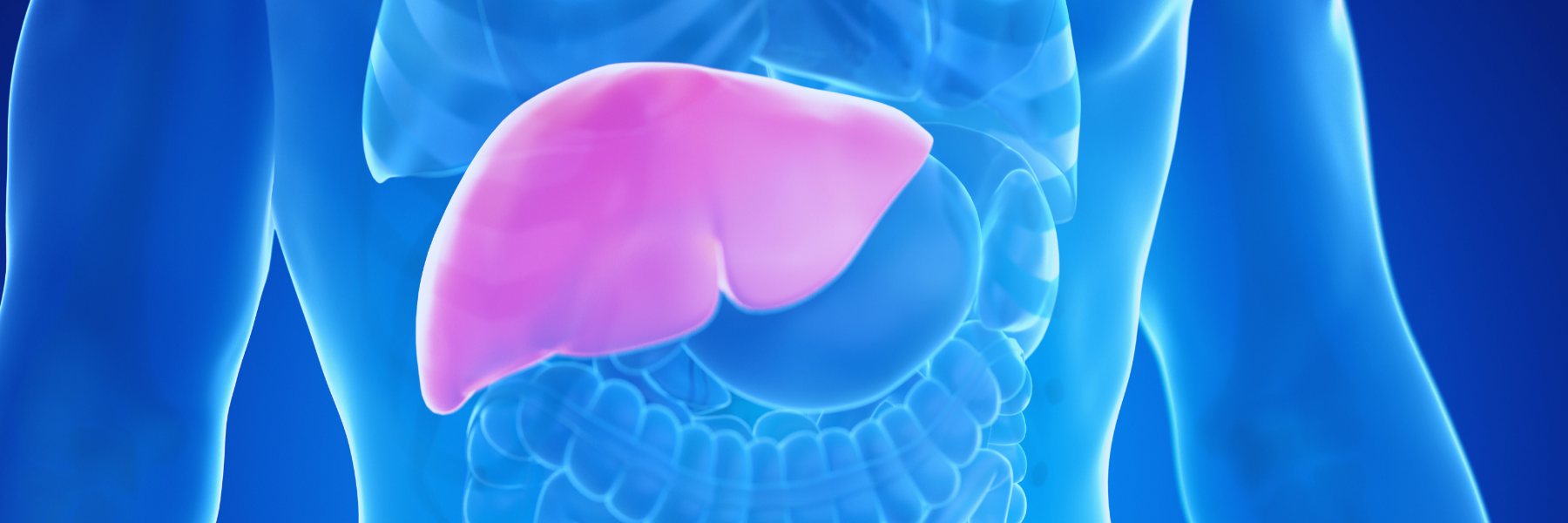 Crisi epatica per un colpo di calore: trapianto salvavita per una giovane