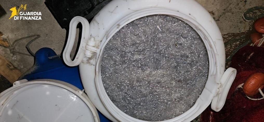Vibo Valentia, pesca non consentita: sequestrati 22 kg di novellame