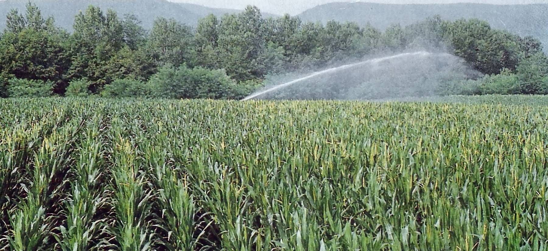 Agricoltura, dalla Basilicata altri 4 milioni di metri cubi di acqua