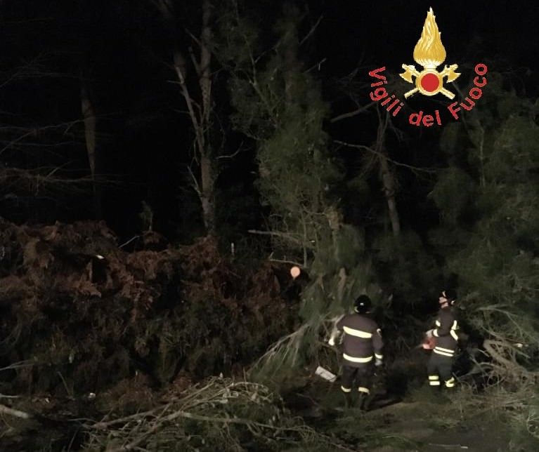 Maltempo, in Calabria "piovono" alberi. Tetti scoperchiati e un ferito nel Crotonese – FOTO E VIDEO