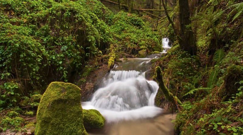 La “Notte bianca delle Biodiversità” arriva nella riserva di Cropani-Micone