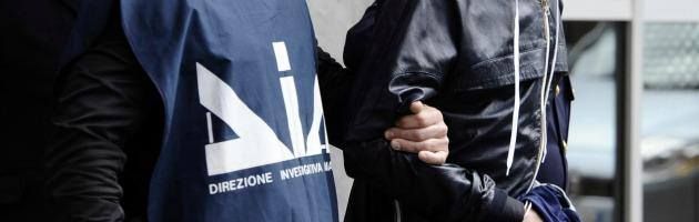 I narcos del clan Gallace nel mirino della Dia – LE INTERCETTAZIONI