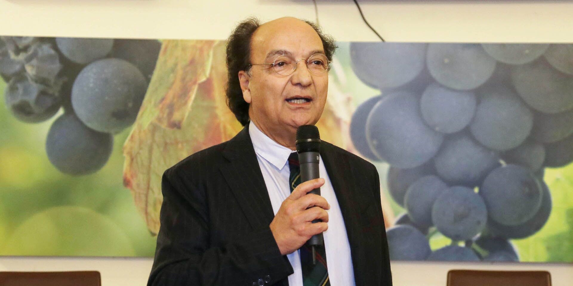 Cosenza Calcio, Guarascio chiarisce: «Nessuna trattativa per la cessione»