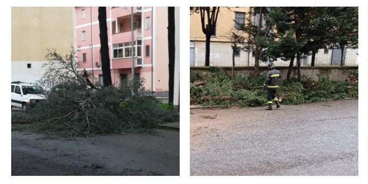 Maltempo Cosenza, attivato il sistema comunale di emergenza: interventi su tutto il territorio