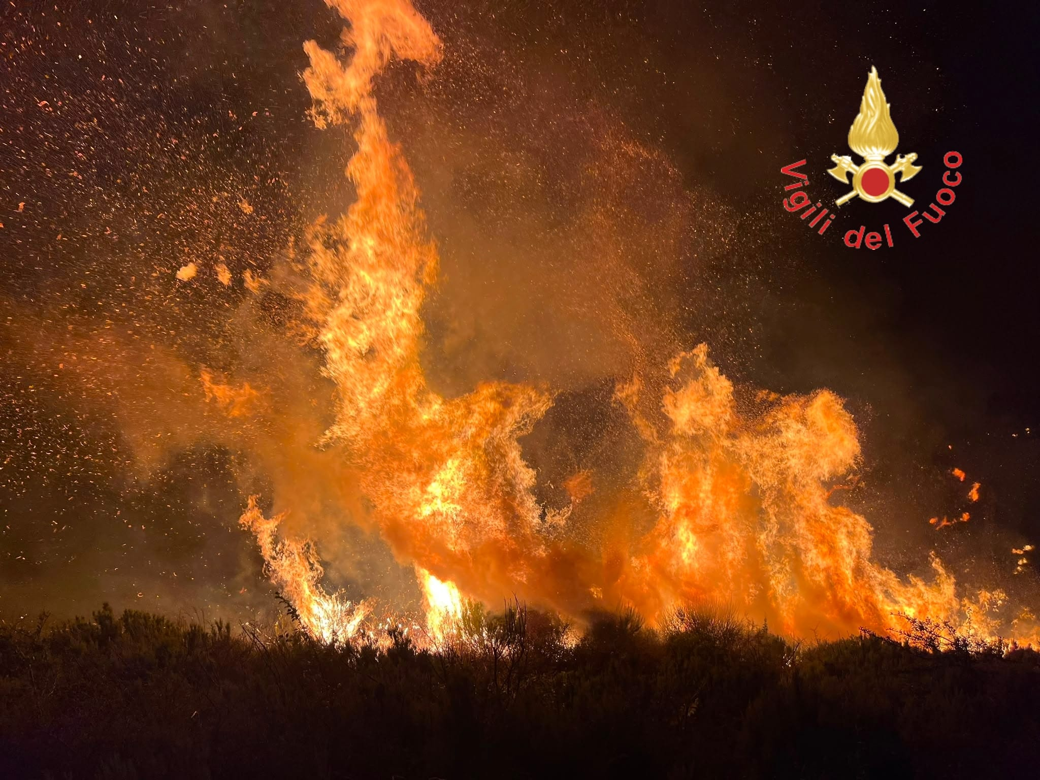 Vasto incendio a Gizzeria, cinque Canadair contro le fiamme. Salvate le abitazioni – FOTO E VIDEO