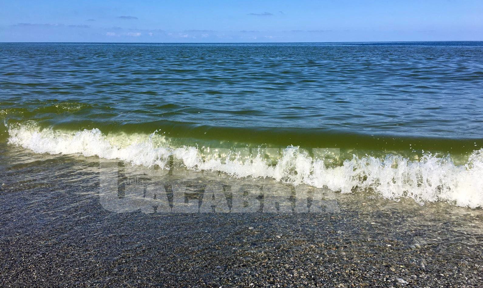 Lamezia, chiazze verdi in mare e pesciolini morti. «A che serve denunciare?» – VIDEO E FOTO