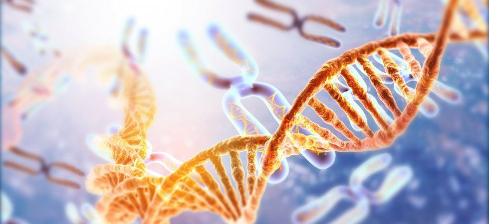 La ricerca per ridurre la complessità del genoma umano passa (anche) dalla Calabria