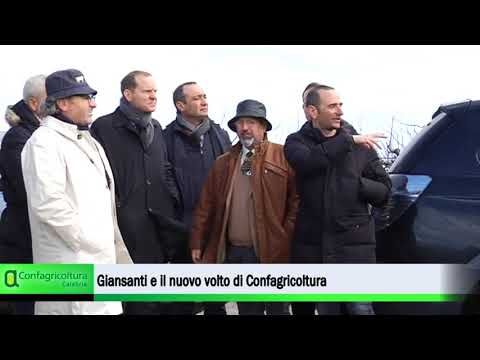 Il Tg dell'Agricoltura