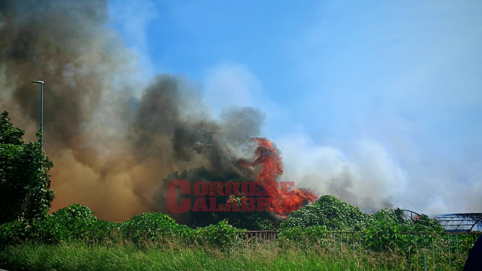 Incendio in un vivaio a Lamezia Terme, paura sulla SS18 – VIDEO e FOTO
