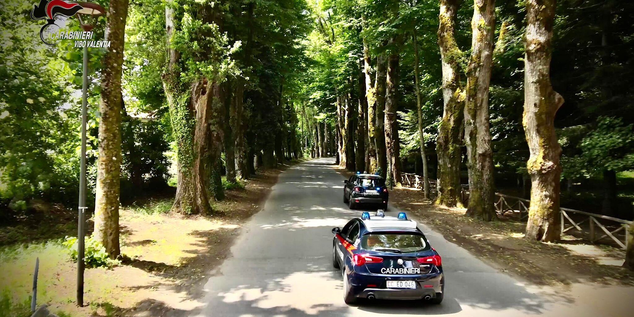 I falsi poveri dei buoni spesa Covid, 350 denunce nel Vibonese – VIDEO