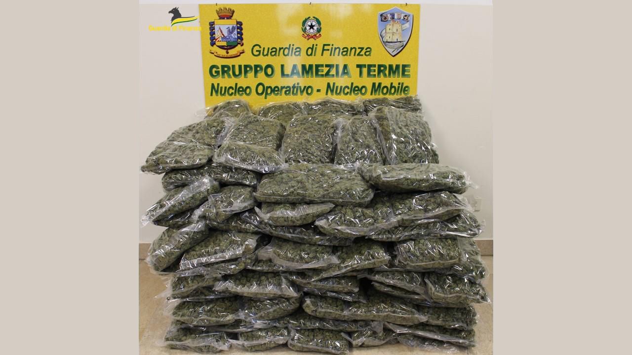 Era destinatario di un pacco con 50 chili di marijuana, arrestato spacciatore nella Locride