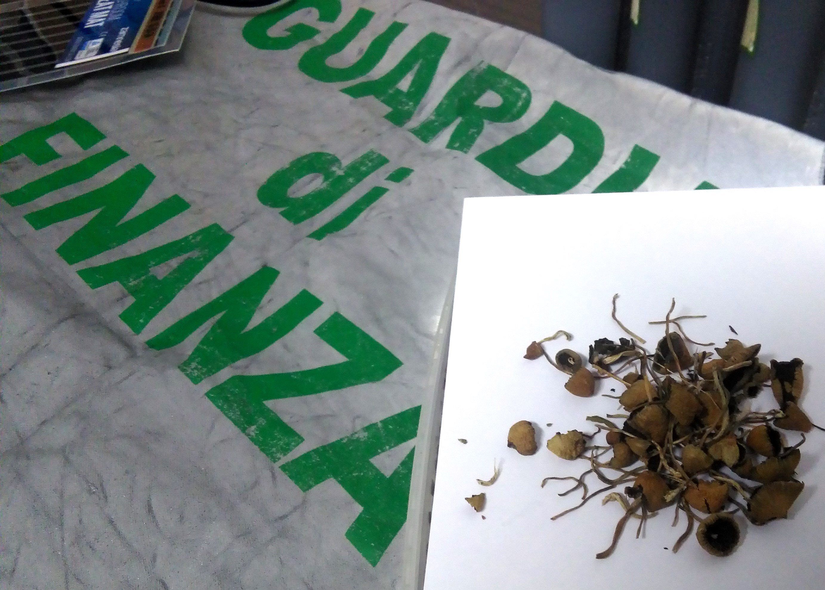 Sequestrati funghi allucinogeni e un kit per la coltivazione