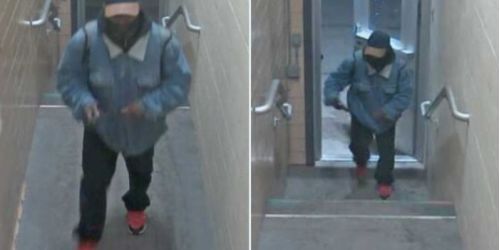 Usa, sparatoria nel campus del Michigan: 3 morti e 5 feriti