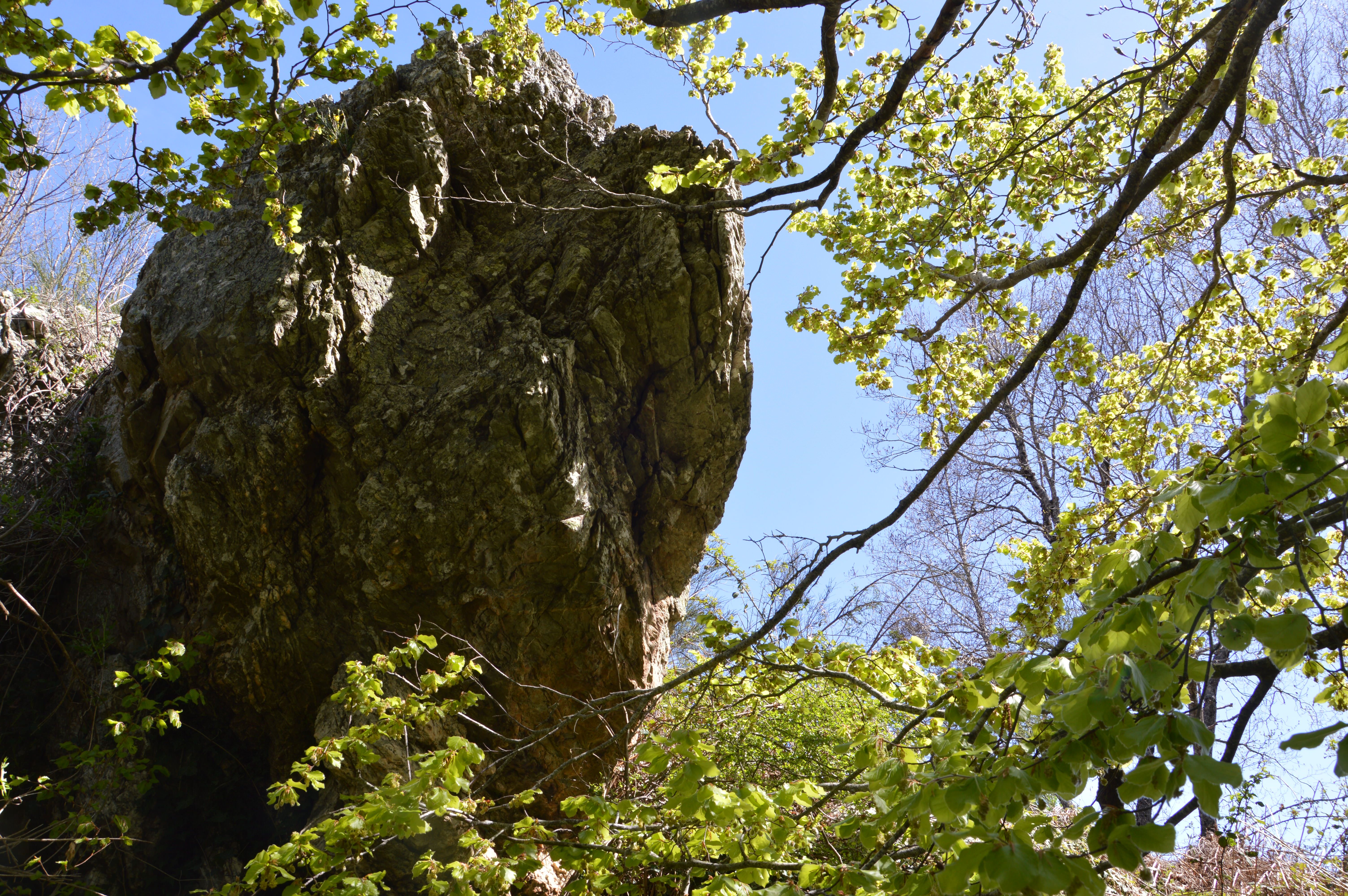 «Covid-19 e scienza ammalata di integralismo»