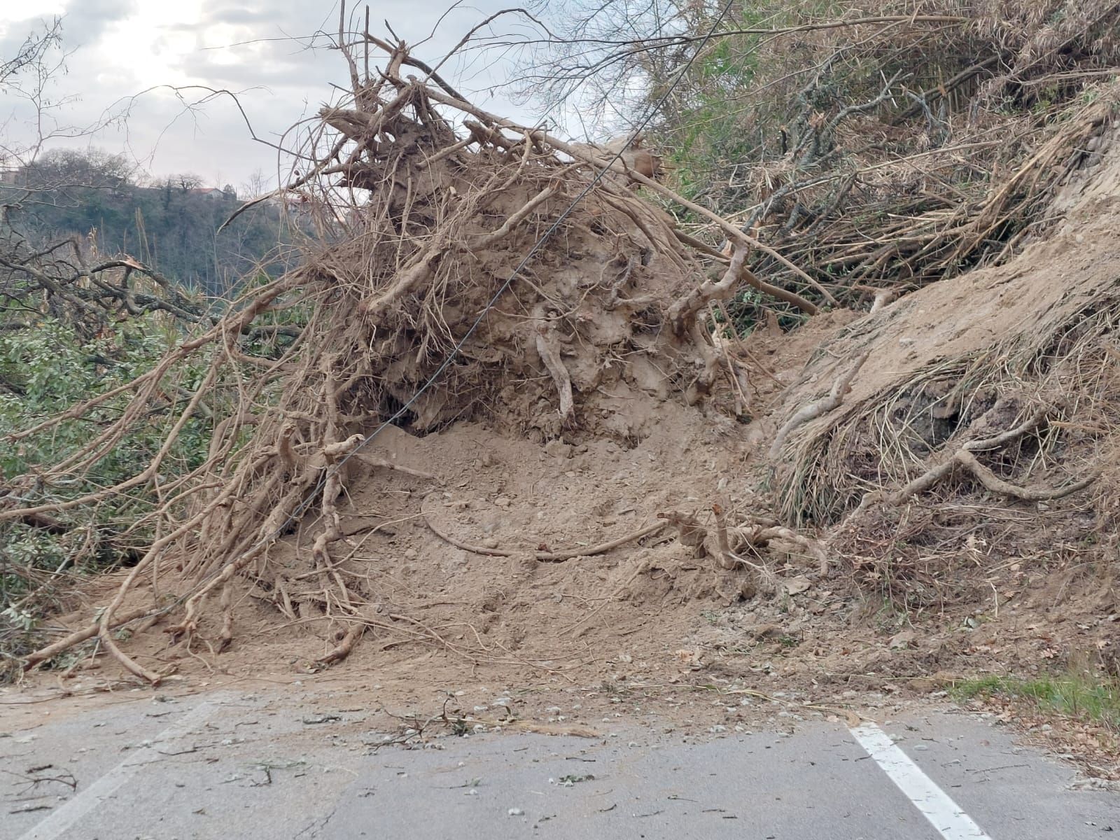 Una nuova frana isola l’area del Mesima. «Urgente un intervento risolutivo» – FOTO