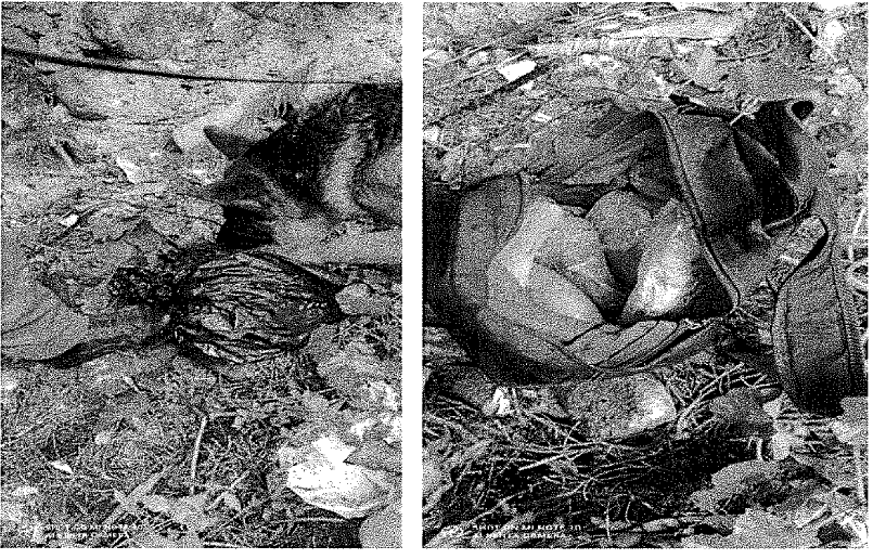 Reggio, la cosca Borghetto-Latella armata fino ai denti per «mantenere il dominio sul territorio»