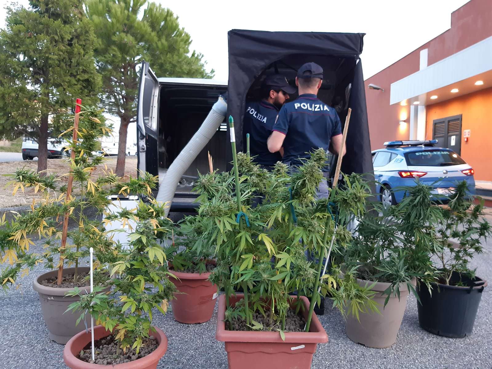 Laboratorio della marijuana a Catanzaro, denunciata una 50enne