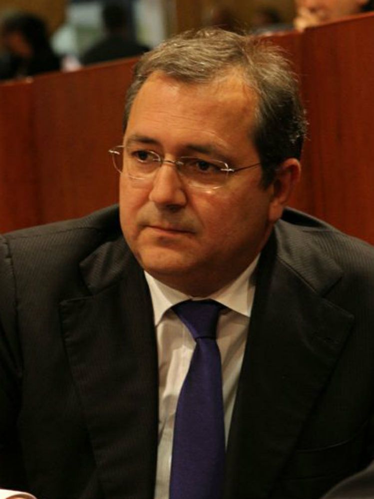 Trematerra sugli abeti di Serra: mi associo all`iniziativa degli ambientalisti