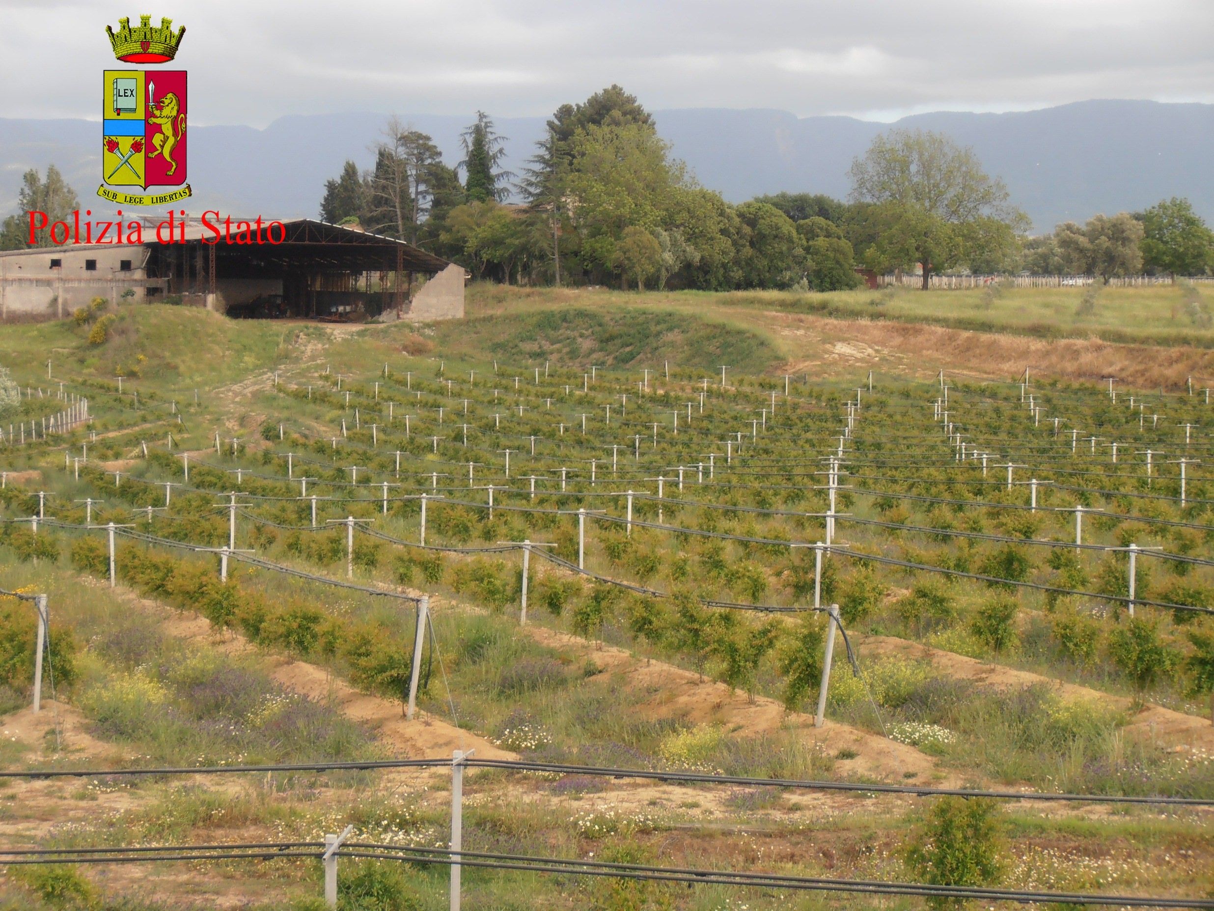 'Ndrangheta, sequestrati beni del valore di 3 milioni di euro