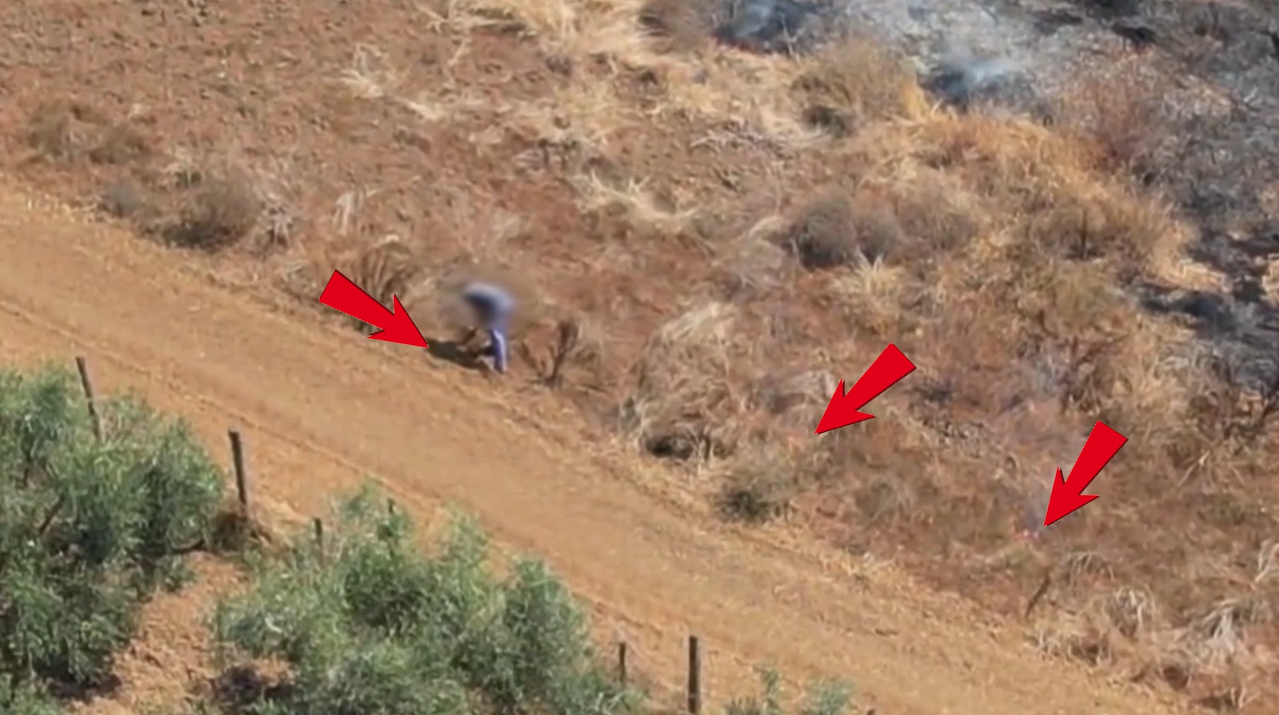 Beccato a bruciare sterpaglie a Limbadi: intervengono i carabinieri – VIDEO