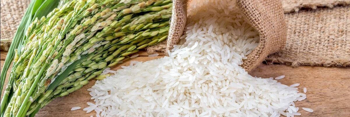 Riso, Confagricoltura: «No alle importazioni con livelli alti di triciclazolo»