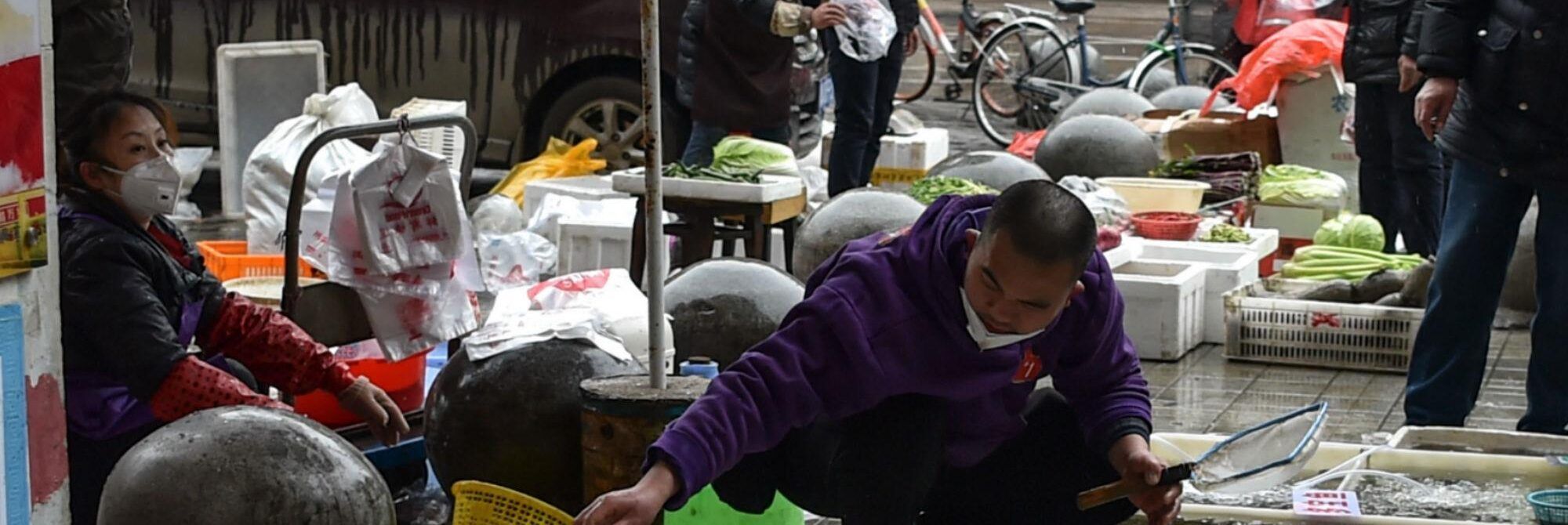 Ora c’è la prova. La pandemia è partita dal mercato di Wuhan