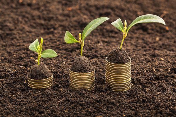 Agricoltura di qualità, online il nuovo bando del Psr