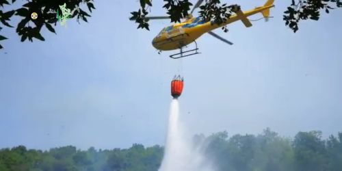 calabria verde in azione