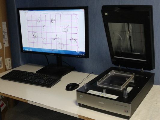 Agraria, la Mediterranea ancora protagonista di un progetto europeo