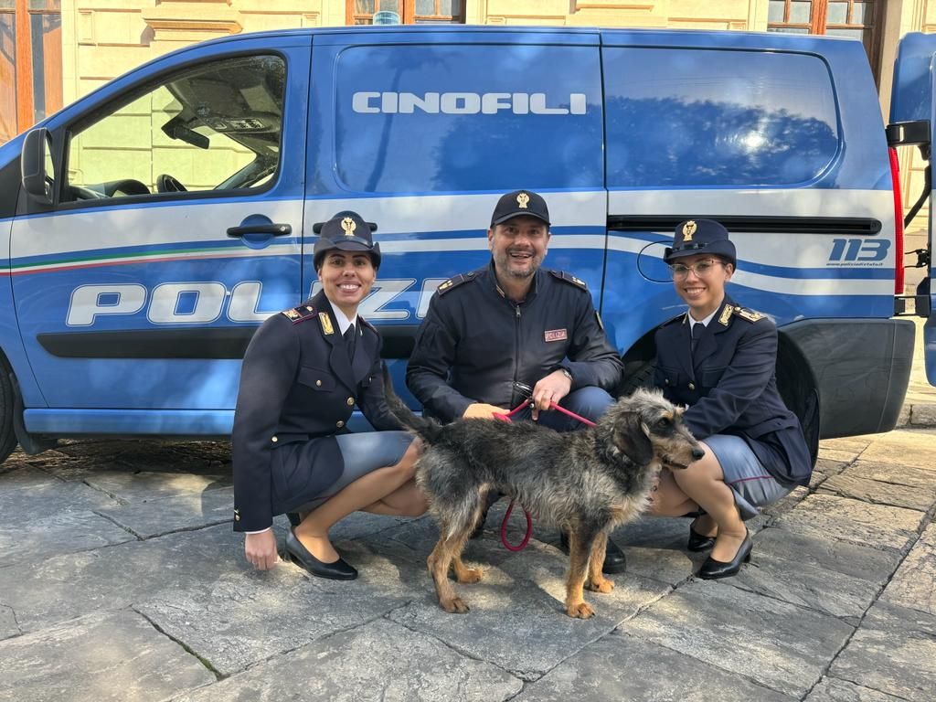 Dal canile alla squadra cinofili, “Lisa” adottata dalla Polizia di Reggio Calabria