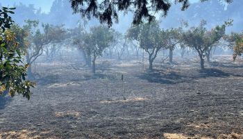 Incendi nella proprietà di Doris Lo Moro, la solidarietà della Cgil