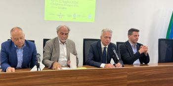 Calabria capofila dell’olivicoltura del futuro. Ecco la prima Convention nazionale delle Città dell’Olio