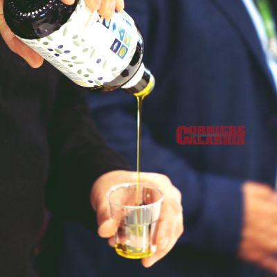 Calabria terza regione italiana per la produzione di olio d’oliva