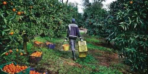 migranti lavoro nero