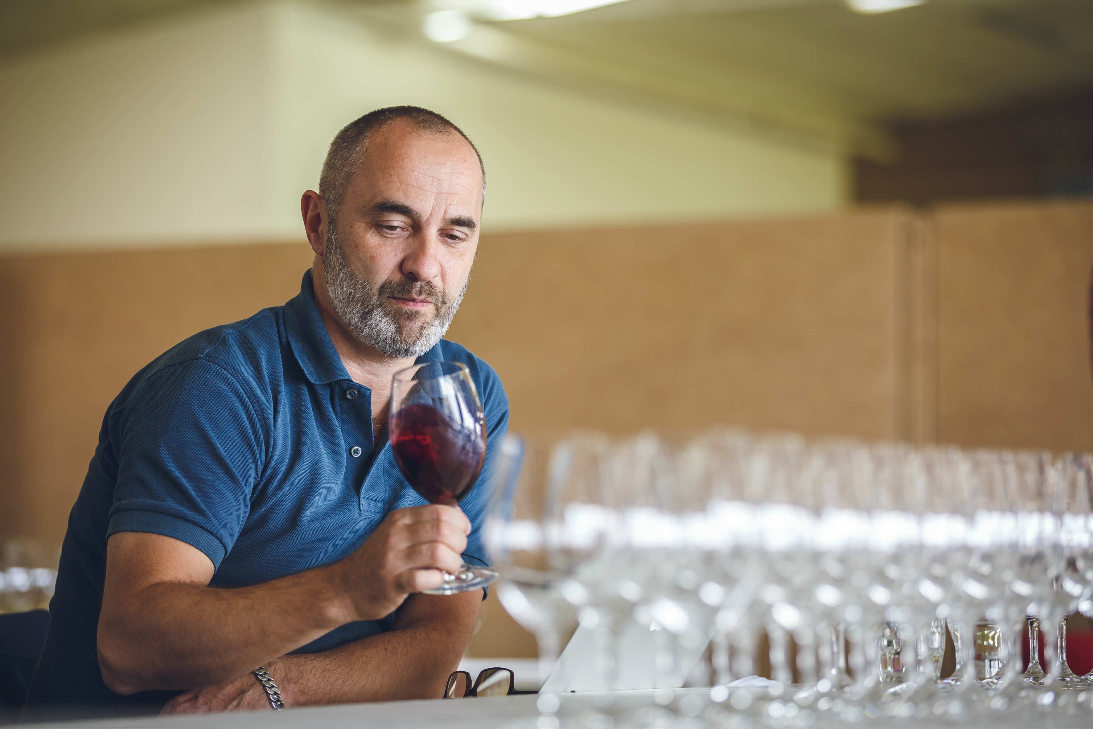 Vinitaly, al via la grande celebrazione del Cirò 